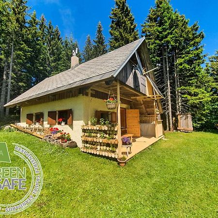 Mountain Eco Chalet Konjska Dolina On 1400 M Asl -Near Pokljuka Srednja Vas v Bohinju Zewnętrze zdjęcie