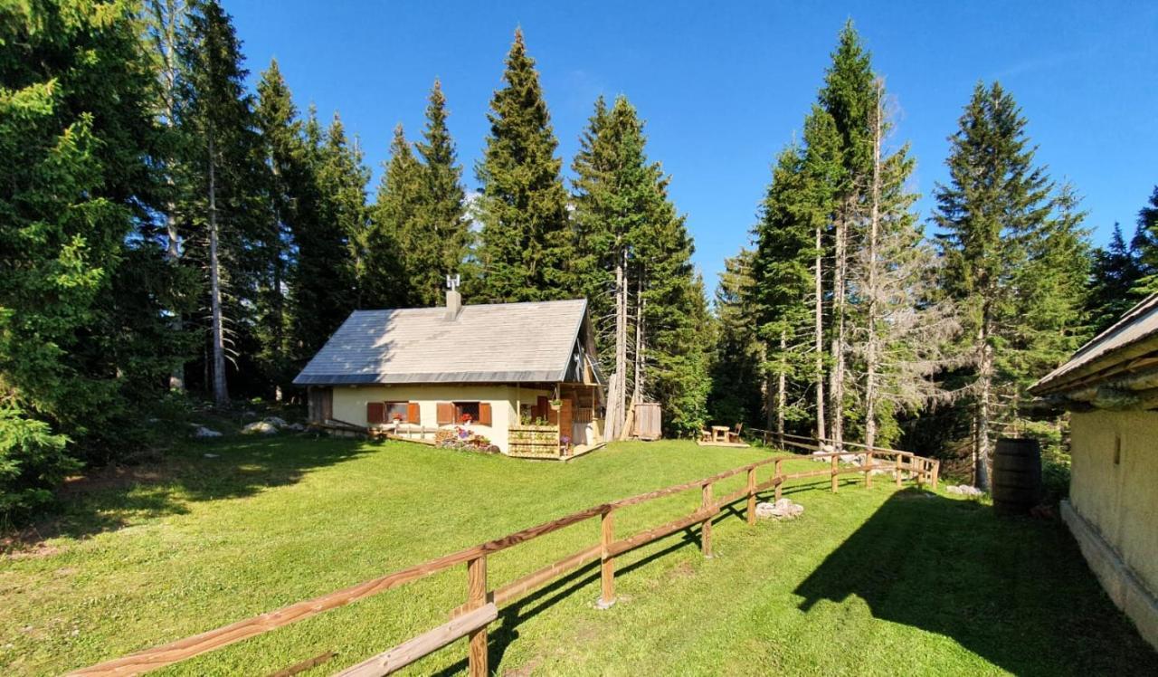 Mountain Eco Chalet Konjska Dolina On 1400 M Asl -Near Pokljuka Srednja Vas v Bohinju Zewnętrze zdjęcie