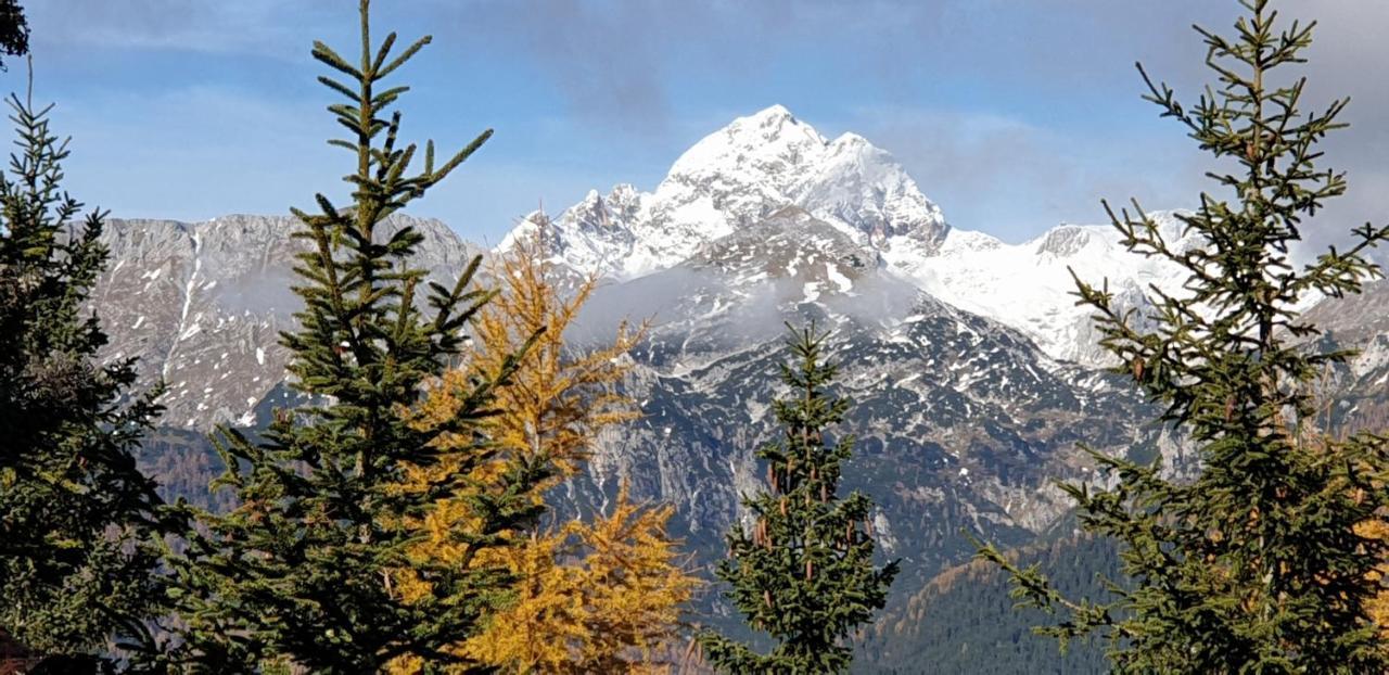 Mountain Eco Chalet Konjska Dolina On 1400 M Asl -Near Pokljuka Srednja Vas v Bohinju Zewnętrze zdjęcie