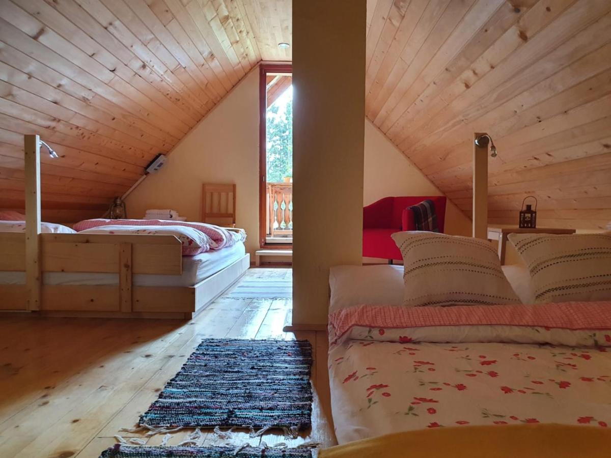 Mountain Eco Chalet Konjska Dolina On 1400 M Asl -Near Pokljuka Srednja Vas v Bohinju Zewnętrze zdjęcie