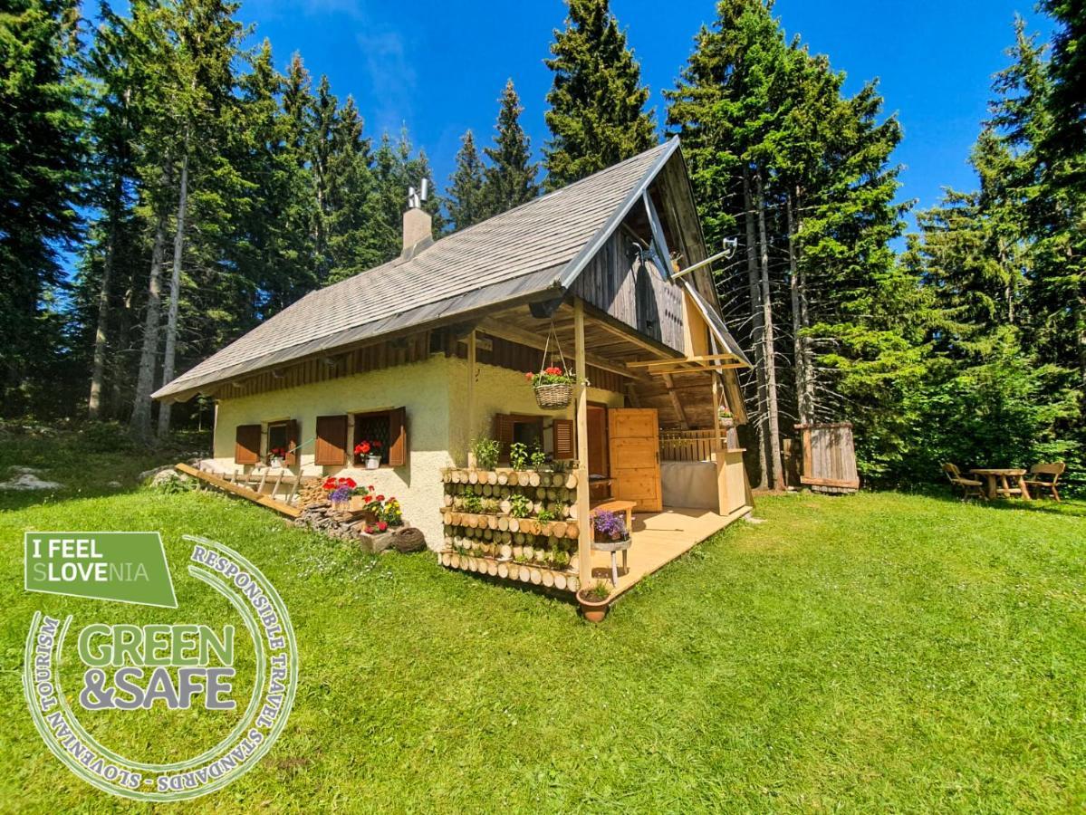 Mountain Eco Chalet Konjska Dolina On 1400 M Asl -Near Pokljuka Srednja Vas v Bohinju Zewnętrze zdjęcie